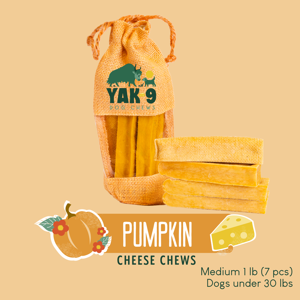 Pumpkin Cheese Chews for Dogs