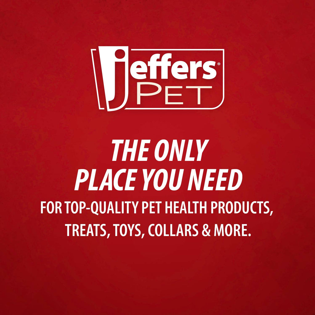 Jeffers Blue Bone Stamped Frisbee Natural Rubber 8 Inch Dog Toy for Fetching & Chewing