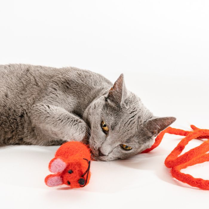 Catch a Mouse by the Tail - Wool Cat Toy