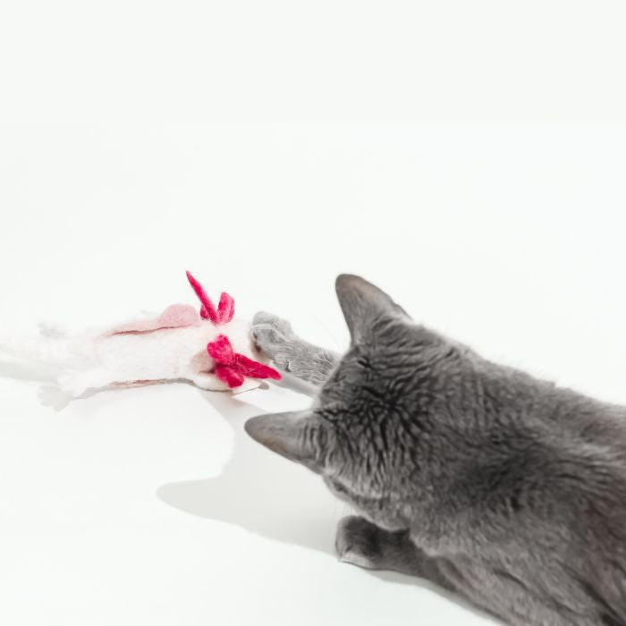 A Little 'Lotl - An Axolotl Wool Cat Toy